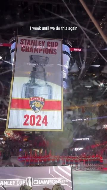 another one in the rafters