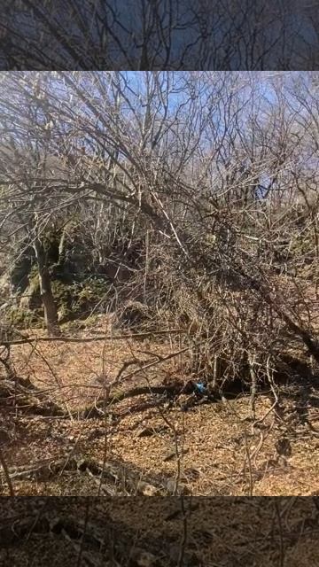 VID_20260423_004828_699