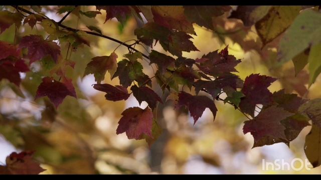 ВСЯ ПРАВДА ПРО ЖЕНЩИН