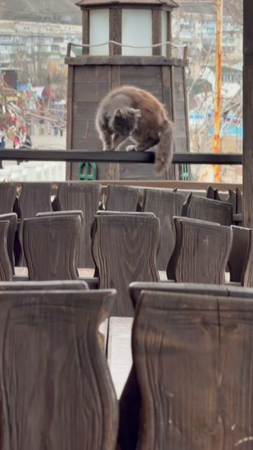 Что может быть лучше обеда на берегу моря ❤️🌊⛰️☀️🏖️🐬🏄♂️