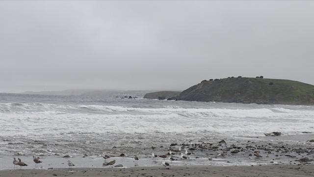 Прогулка по городу #1 HD Landscaope