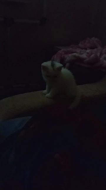 играю с Лунтиком 1 часть