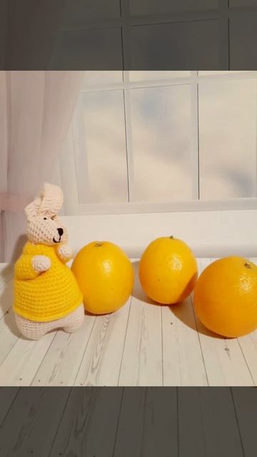 InShot_20260119_110313848