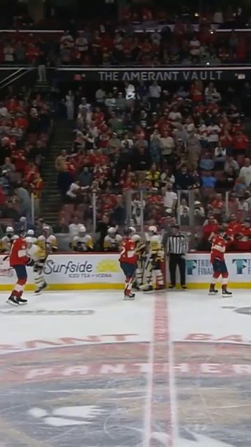 REINO DOING REINO THINGS