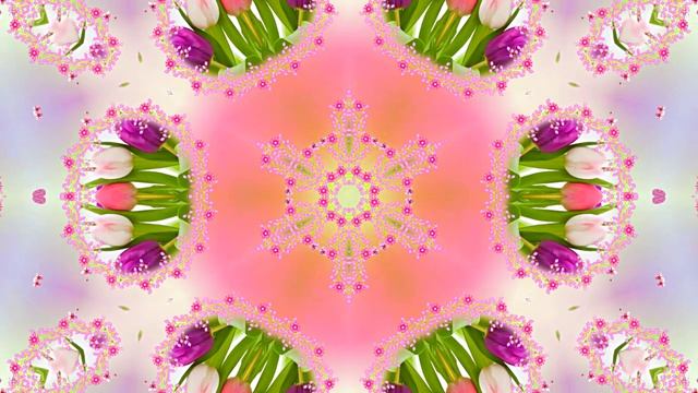 Весна! Очаровательные тюльпаны 6! Киностудия Мудрого Кота Тимофея!