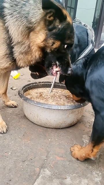 Подписываемся 😉