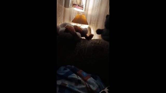 Нори 1 видео на канале