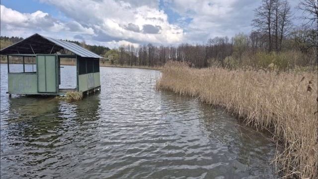 Весне навстречу