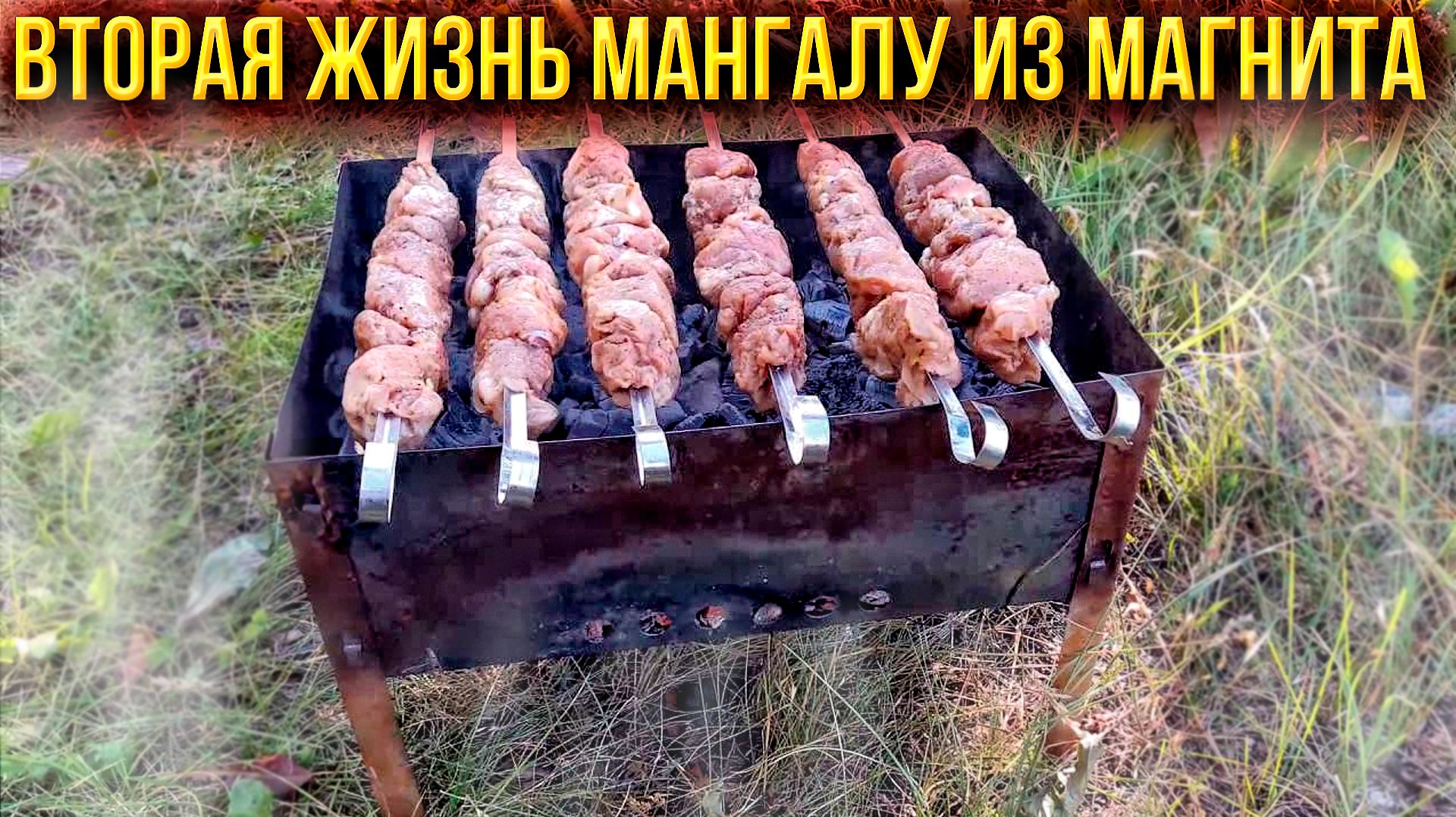 ВТОРАЯ ЖИЗНЬ МАНГАЛУ ИЗ МАГНИТА