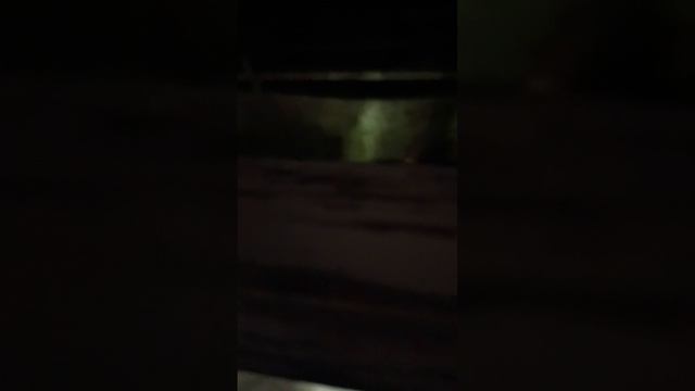 вот это погодка🙂