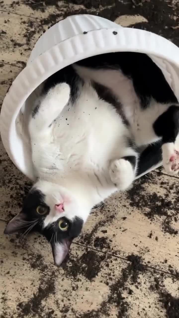 Тут у вас что-то рассыпалось