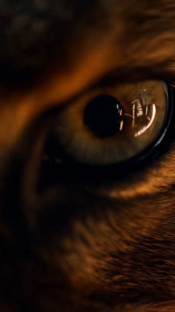 2.27 | Fire meets ice.