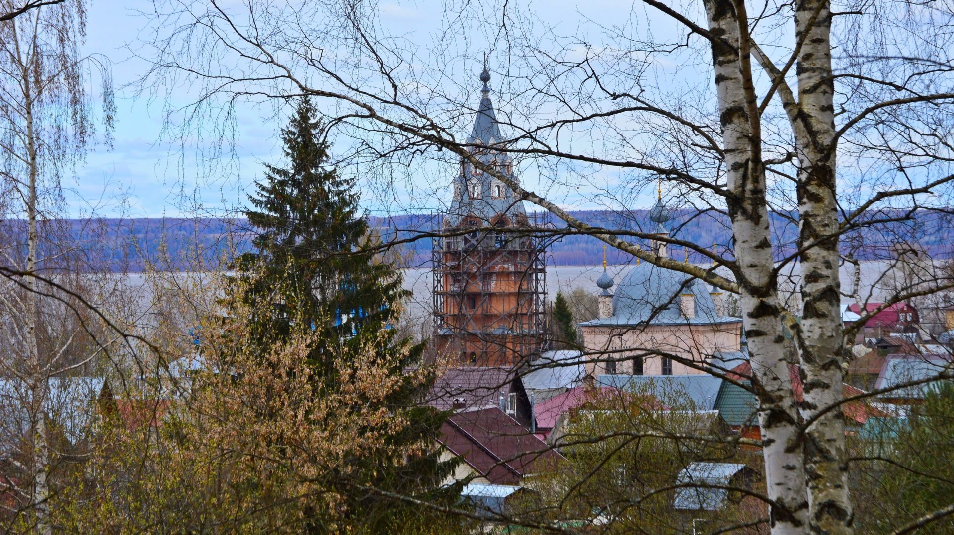 Взгляд сквозь природу. г.Галич 2026г.