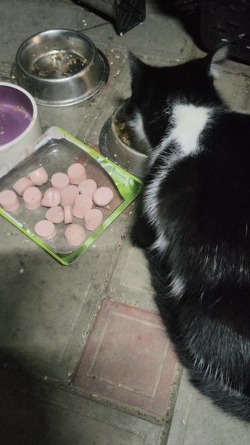 Пацаны ужинают.