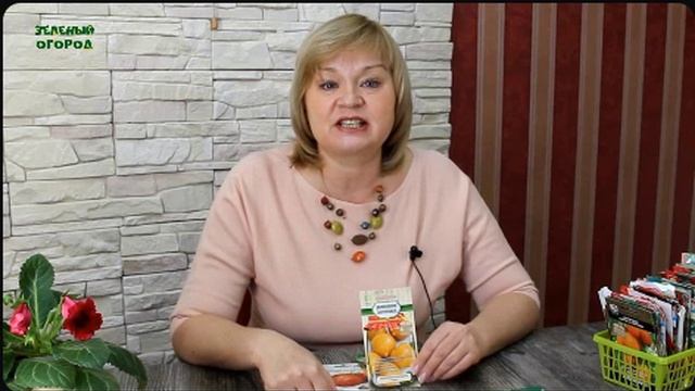 Эти томаты созревают самые первые в открытом грунте