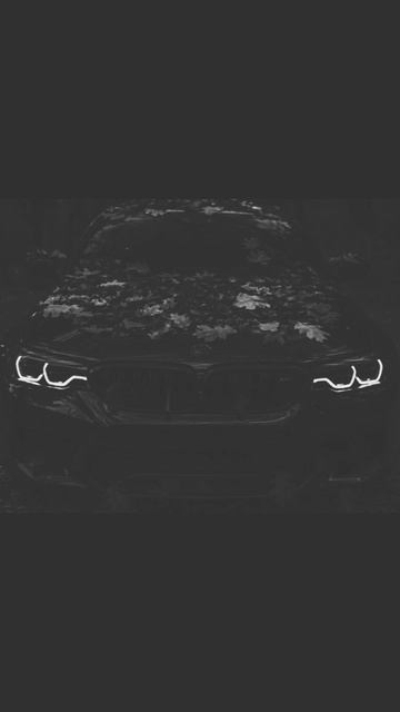 ой да красота