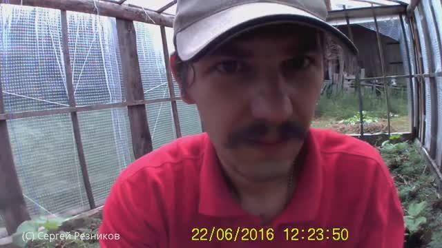 КАК ПРАВИЛЬНО ПОДВЯЗЫВАТЬ ОГУРЦЫ