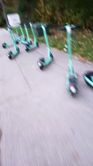 парковка самокатов на границе района. #shorts #travel #trend #youtubeshorts