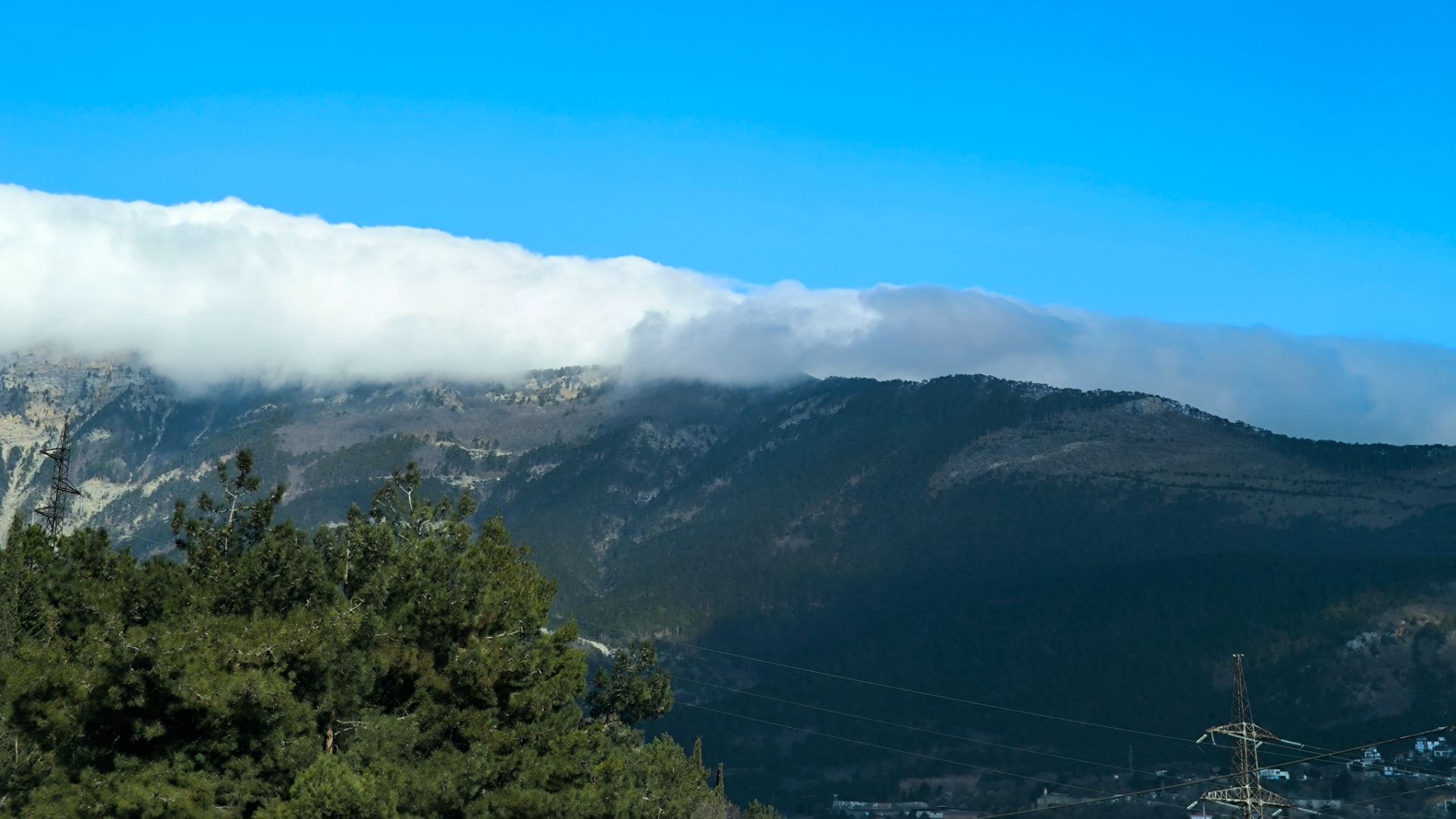 Песенная Медитация 24.04.2026