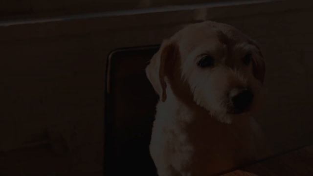 Как грамотно пережить расставание с бывшей 