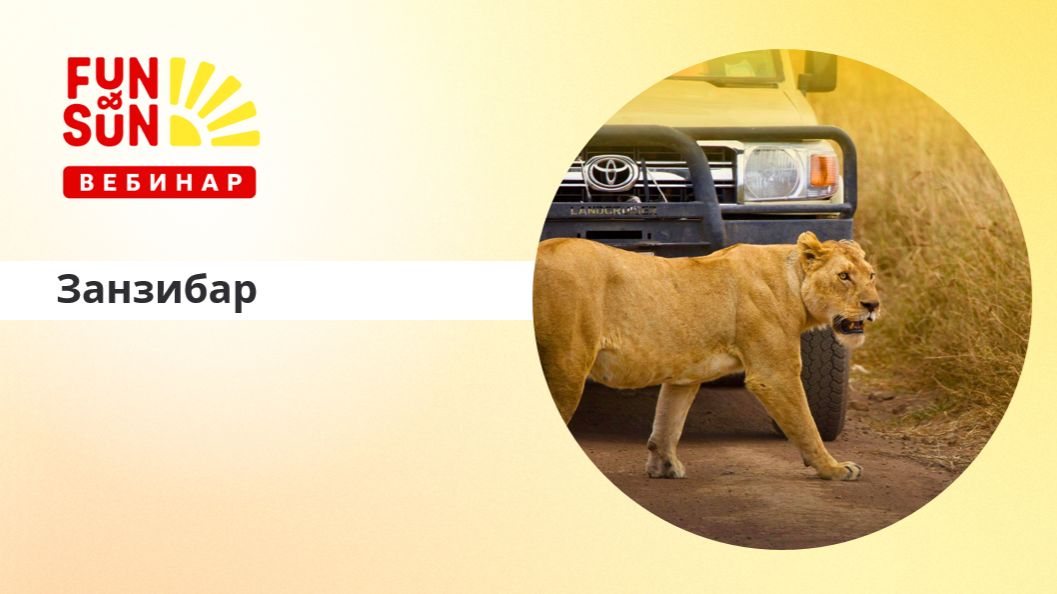 Занзибар 2026: узнаем все о курортах отелях и сафари