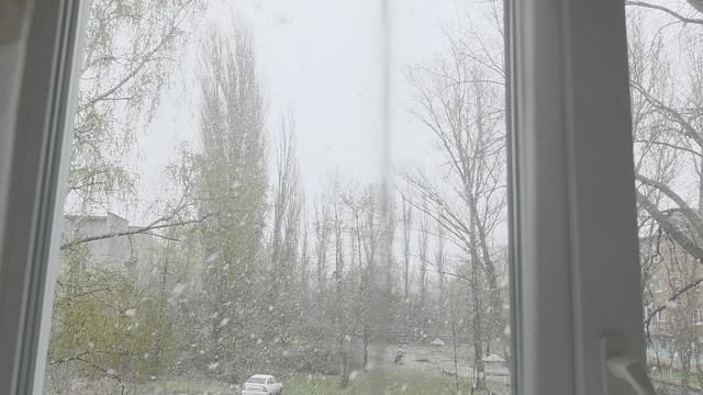 Снег вместо долгожданного тепла 24.04.2026