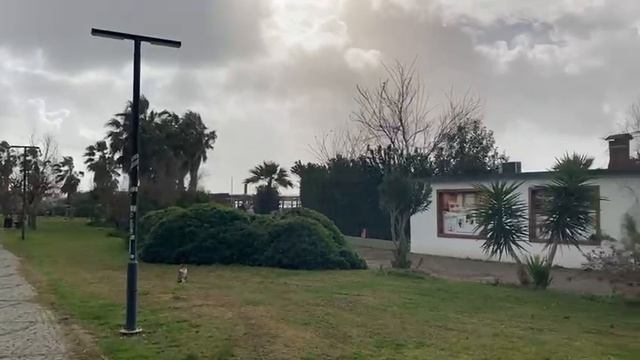 Ох уж эта средиземноморская зима