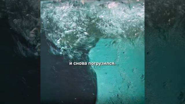 Хороший фильм на вечер !