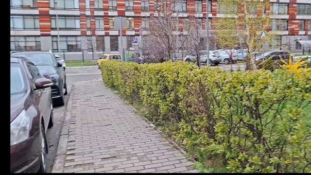 ну что мы вернулись и не вдвоём ШГД 4 серия