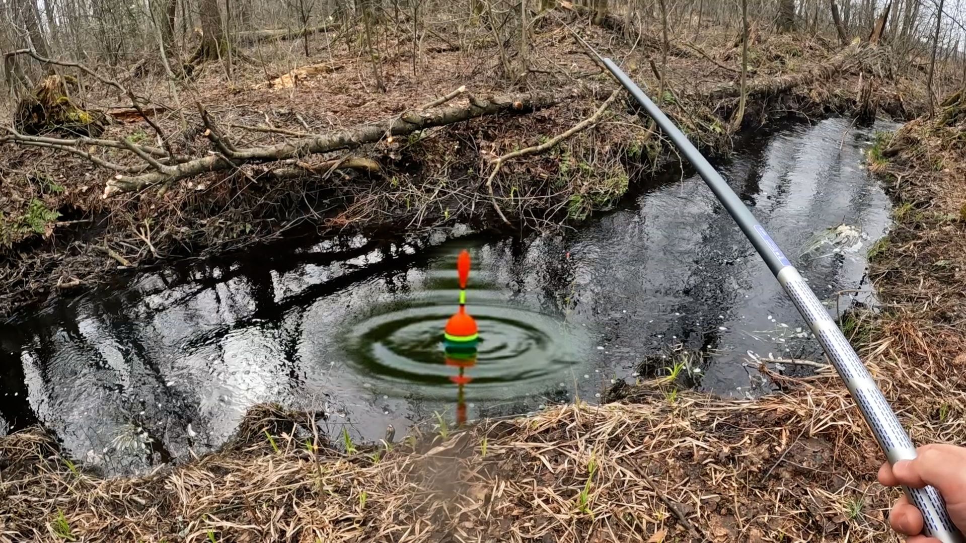 ПОВЕРИТЬ НЕ МОГУ ЛЕСНОЙ РУЧЕЙ ЗАБИТ РЫБОЙ! Рыбалка на удочку с поплавком.