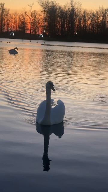 Copy_F5F37262-0259-4285-AF36-921CB864B89F