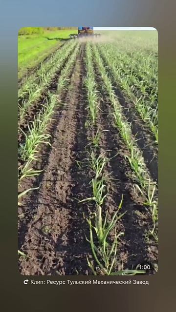 Пальчиковый культиватор ТМЗ РЕСУРС для чеснока и овощей 8-рядный.