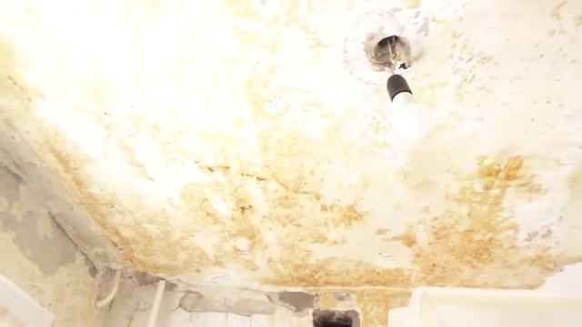 КАК ИЗБАВИТЬСЯ от ПЛЕСЕНИ на стенах НАВСЕГДА  бывшие хозяева наклеили обои на БУСТИЛАТ - это АД!