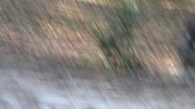 149з ДЕНДАРИ ПАРК СОЧИ