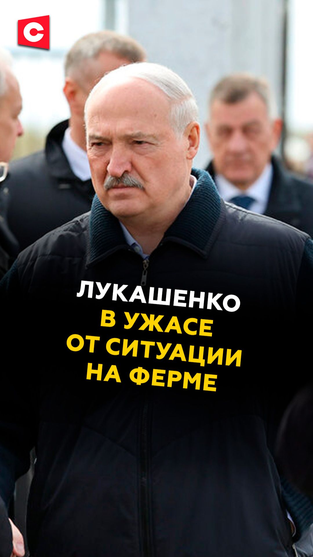 Лукашенко в ужасе от ситуации на ферме! лукашенко политика новости батька беларусь