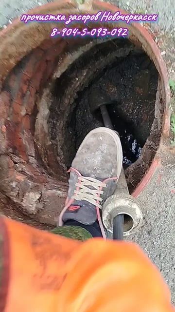 Аисты прилетели