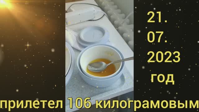 3 дня лечебного голодания