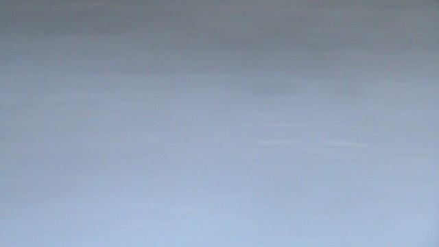 142з ДЕНДАРИ ПАРК СОЧИ