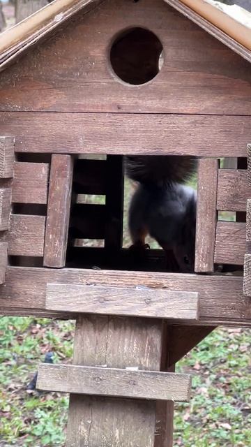 Парк санаторий АМАКС