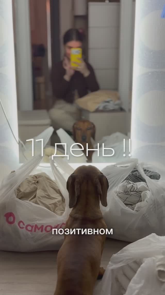 11 день  выбрасываю 465 вещей  негативная поддержка буллинг тыжпсихолог