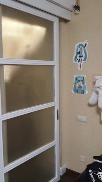 Доработка двери 

Советуем присмотреться к данной доработке откатных дверей