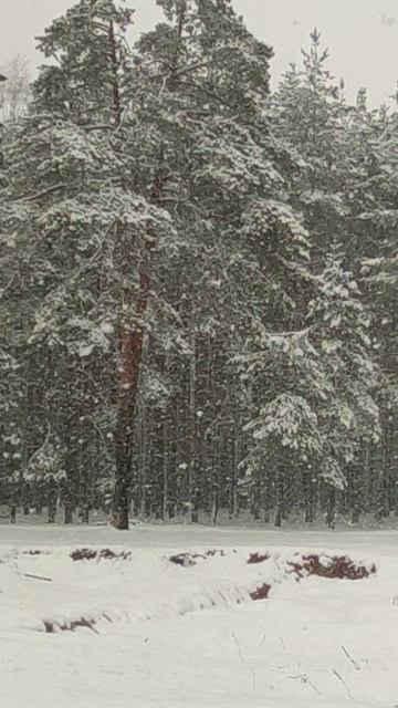 24 Апреля 2026