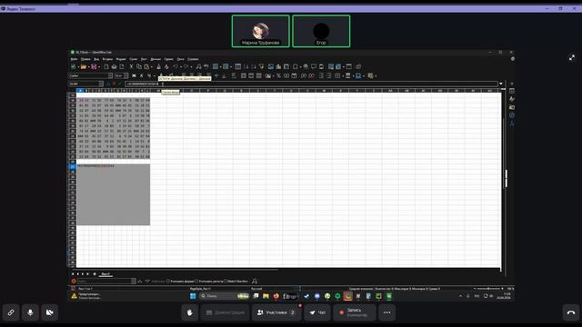 Встреча в Телемосте Егор Гаевой ЕГЭ 24.04.26 18-04-04  запись