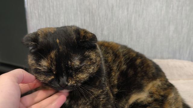 в тихом омуте