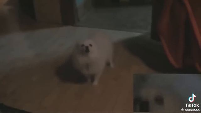 так я прохожу три уровня Geometry Dash Limbo которую он идёт 2 минуты 23 секунды