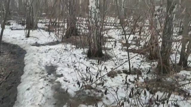 Про изменение бытия: изменяется здоровье изменяется всё  When Your Health Changes Everything 