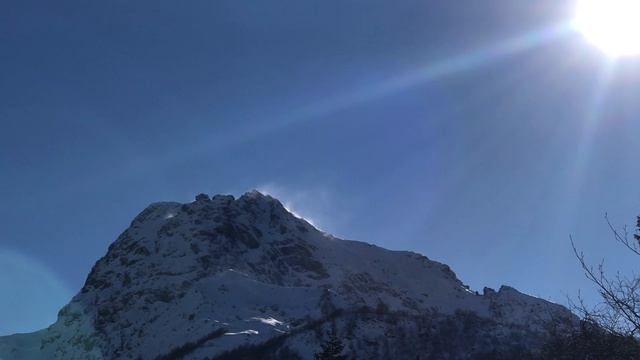 Кто хочет жить вечно. LOS