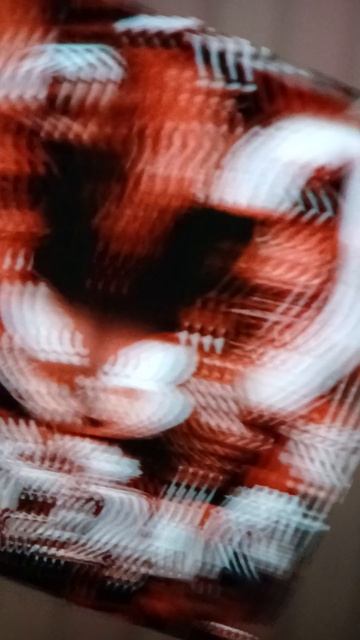 эладжс песня