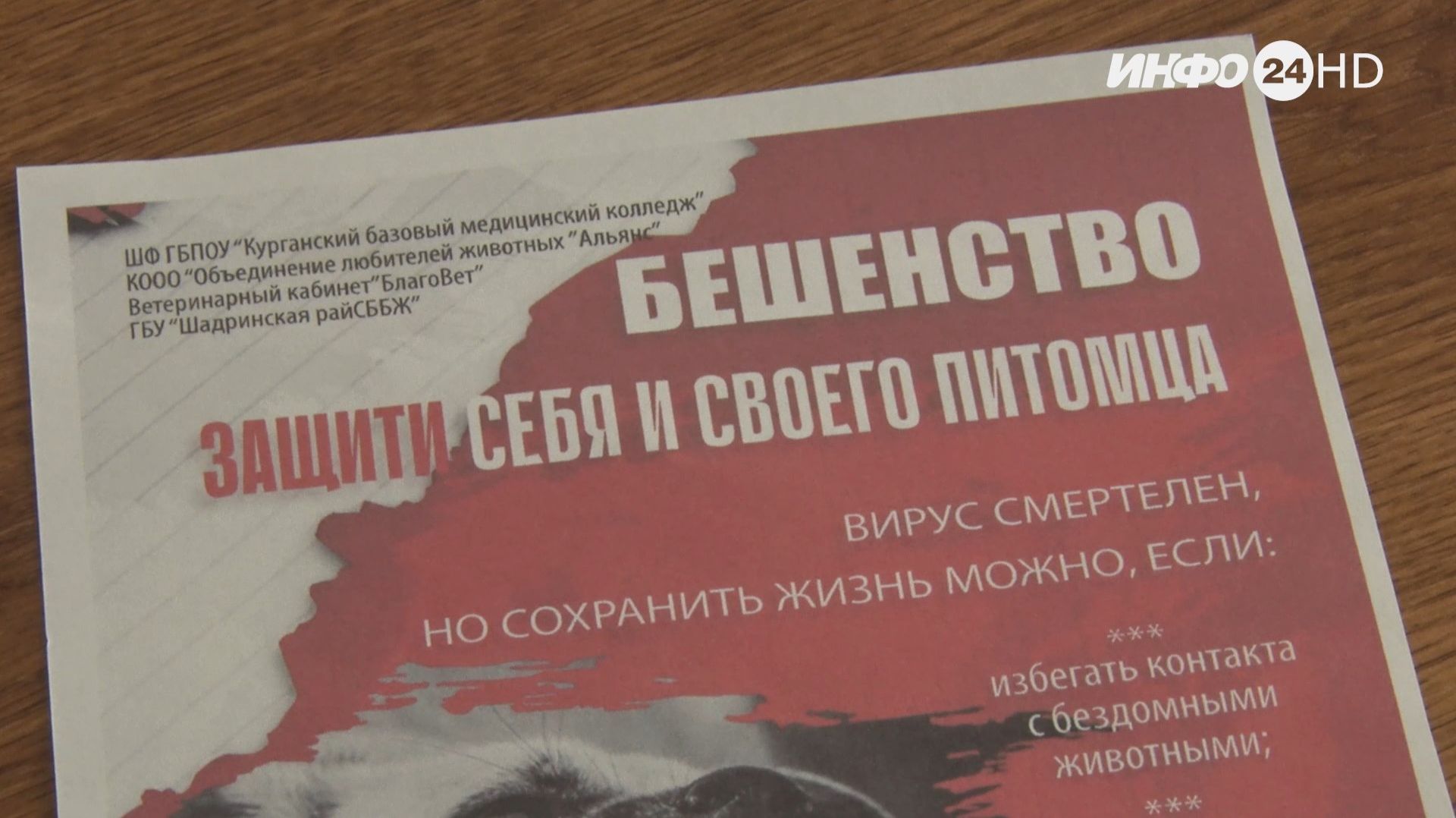 О профилактике бешенства