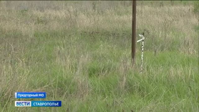 Вести. Ставропольский край 24.04.2026 21.10